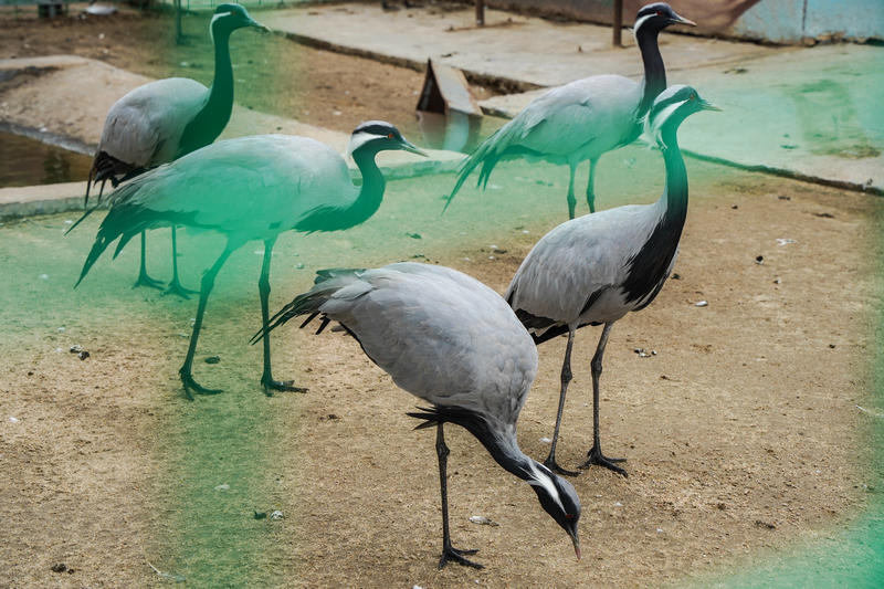 山东周边游2天1夜小众,5.1山东五日游