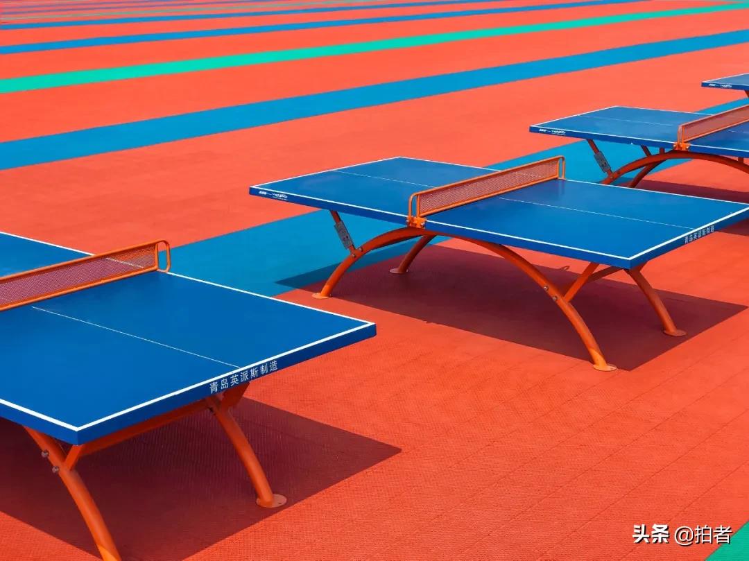 手机摄影天花板机型,手机摄影爱生活