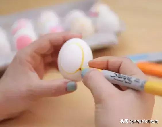 鸡蛋绘画入门教程,鸡蛋素描画绘画过程