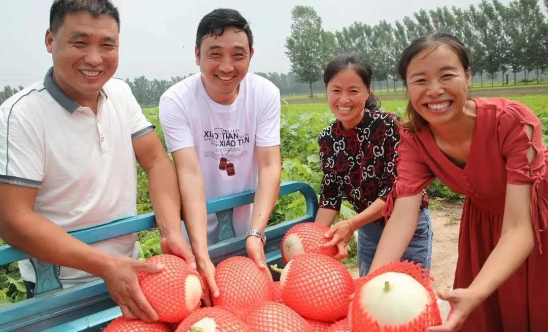 50斤洋葱能卖多少钱,洋葱最便宜多少钱一斤