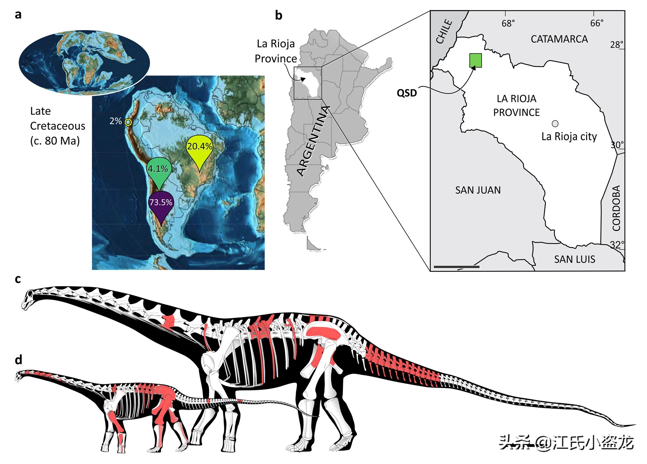 古生物学家发现恐龙新物种,古生物专家介绍侏罗纪