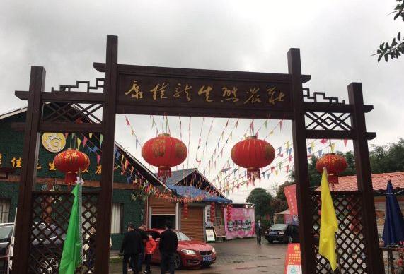 南宁隐藏的景点,南宁周边农家乐游玩景点推荐