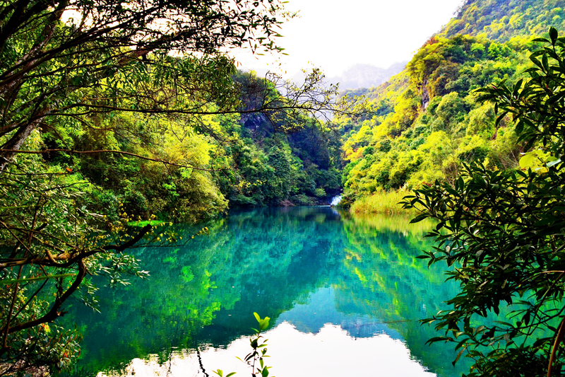 贝爷荔波荒野求生照片,跟着贝尔去旅行荔波