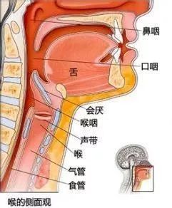早起打喷嚏过敏性鼻炎吃什么药,过敏性鼻炎打喷嚏流鼻涕快速解决