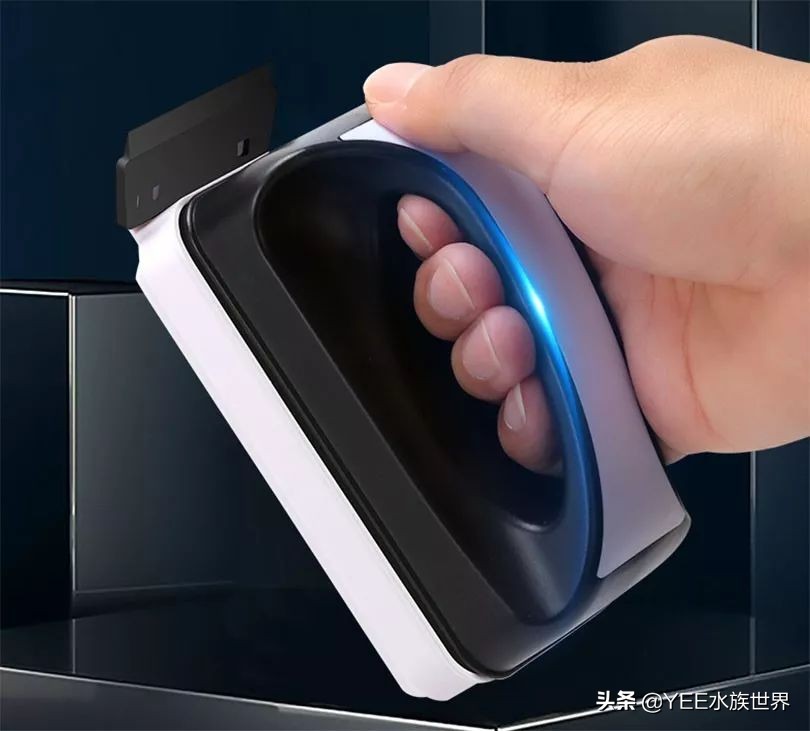 鱼缸除藻最好用的工具,鱼缸除褐藻绿藻工具