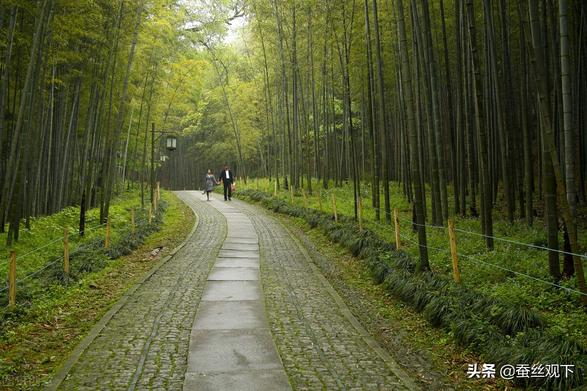 作为强二线城市的杭州,经济到底怎么样?