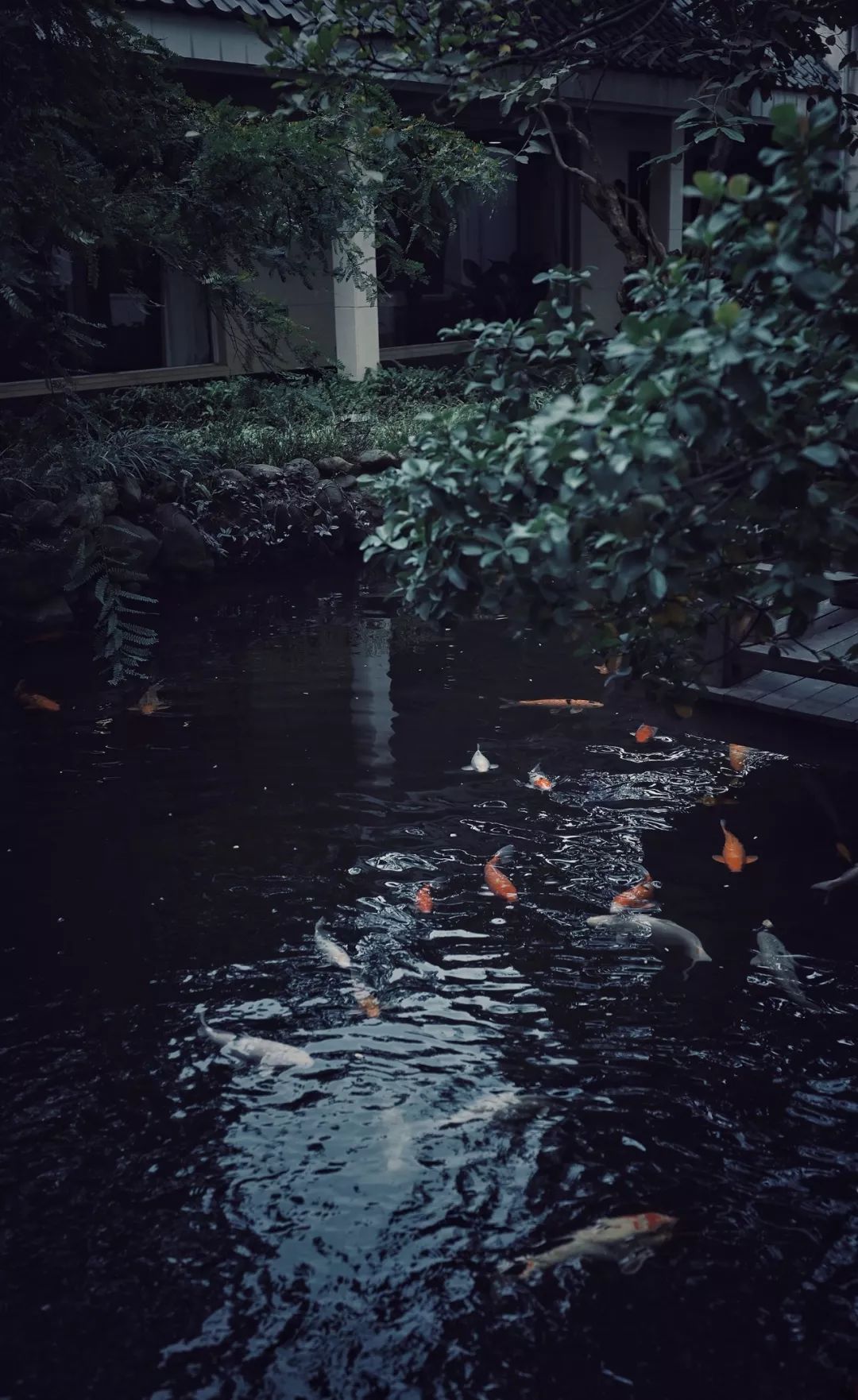 在顺德，如果有一分钟胃空了，算我输