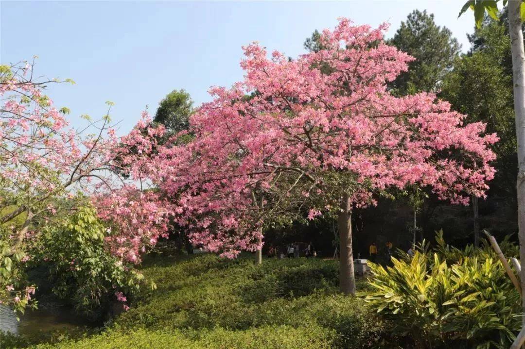 倒数狂欢夜,清远森波拉奇妙世界主题乐园住宿