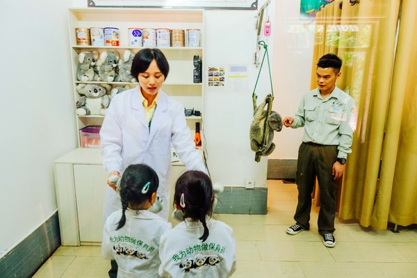 广州长隆旅游攻略自由行详细,广州长隆五一节3天2夜亲子游攻略