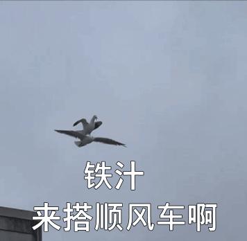 为什么周大福周生生都姓周,周大福和周生生为什么都姓周