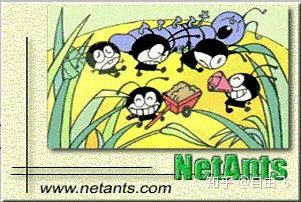 web开发真的好难,web开发优缺点