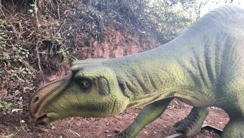 昆明亲子游户外旅行地,昆明周边户外游玩景点推荐带孩子