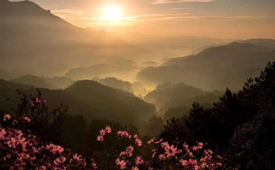 全国林草生物多样性保护成就展,林业生物多样性保护