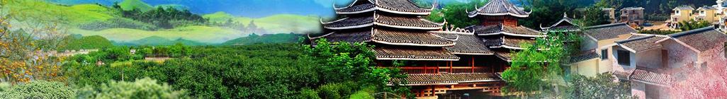 连环画整理目录,五千部经典连环画库