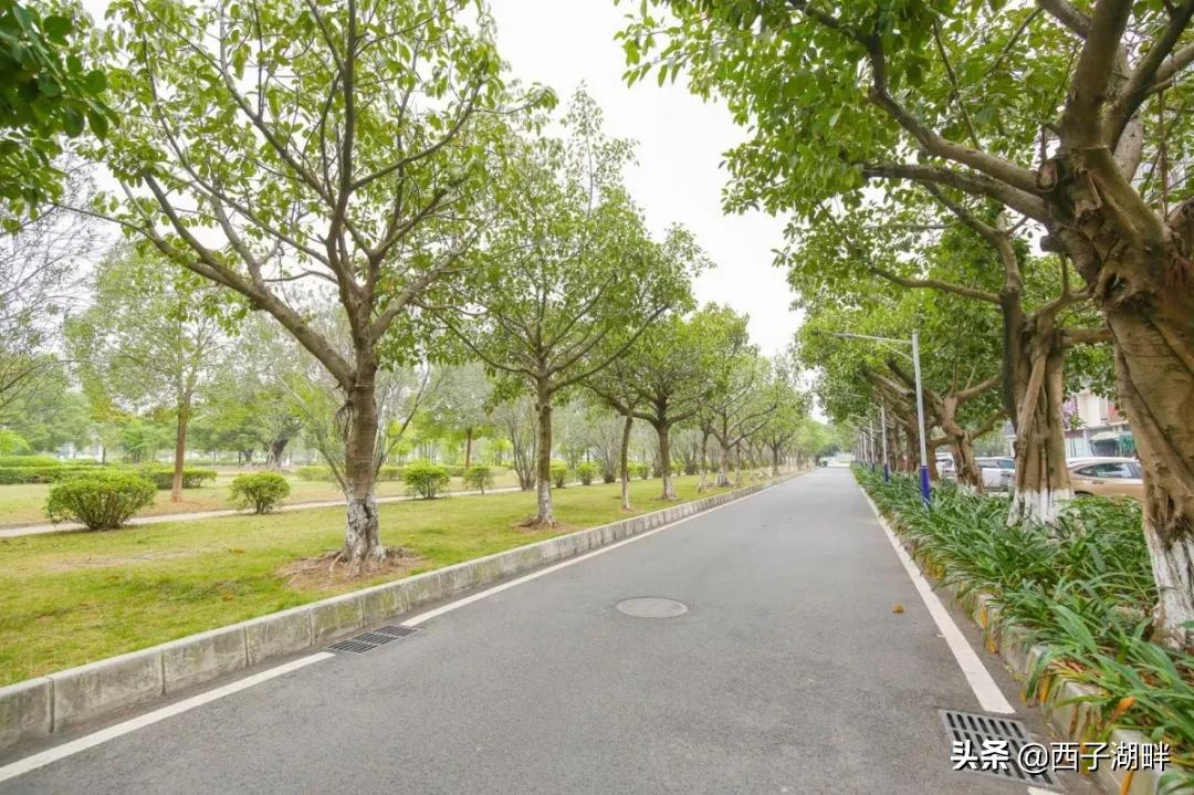 惠州淡水和台湾淡水,千山万水不如惠州淡水什么意思