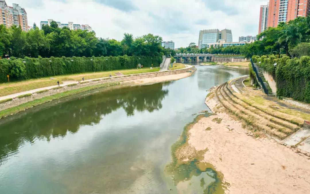 观澜到底有多强,观澜为什么消费很低