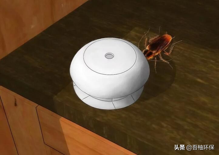 家里蟑螂太多怎么消灭小妙招,家里蟑螂怎么消灭最彻底的小妙招