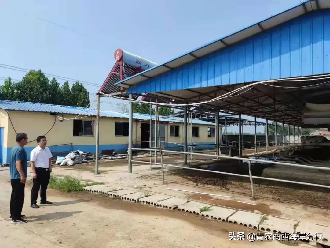 牛转乾坤跨境,牛转乾坤财源旺