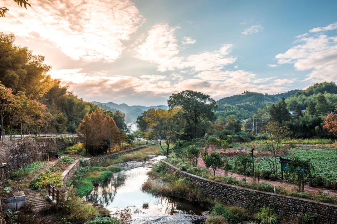 金华五一打卡景点推荐,金华最美村落在哪里