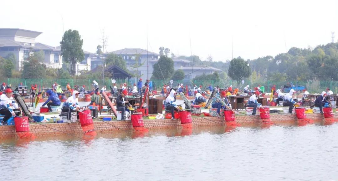 美人鱼战队王者之战夺冠,2019上海美人鱼冠军杯