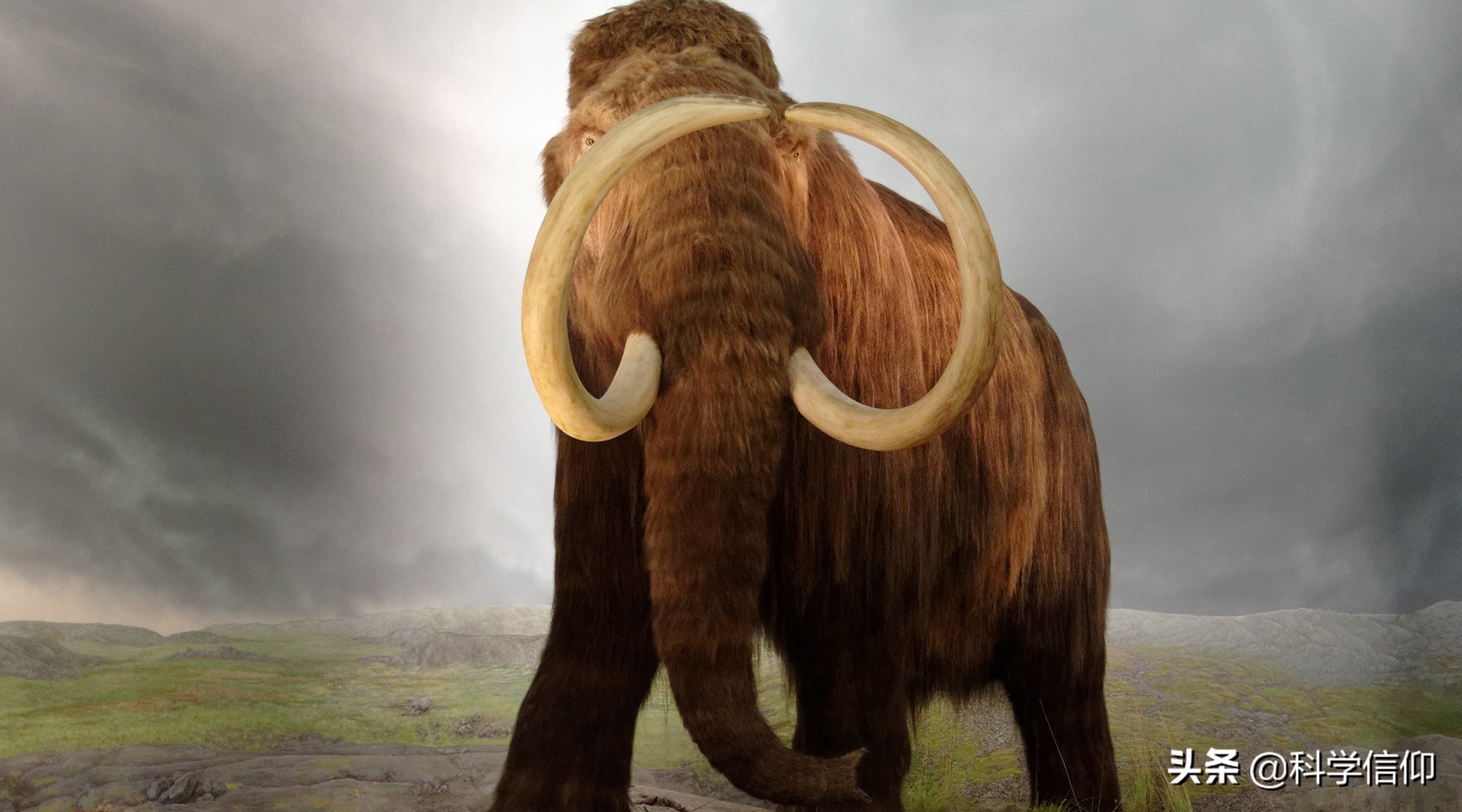 和恐龙灭绝时一样大的小行星,引起恐龙灭绝的小行星