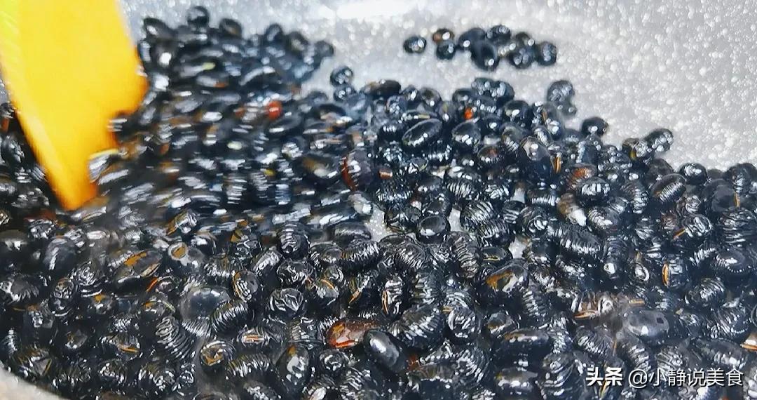 黑豆粒的做法大全视频,黑豆粒做法