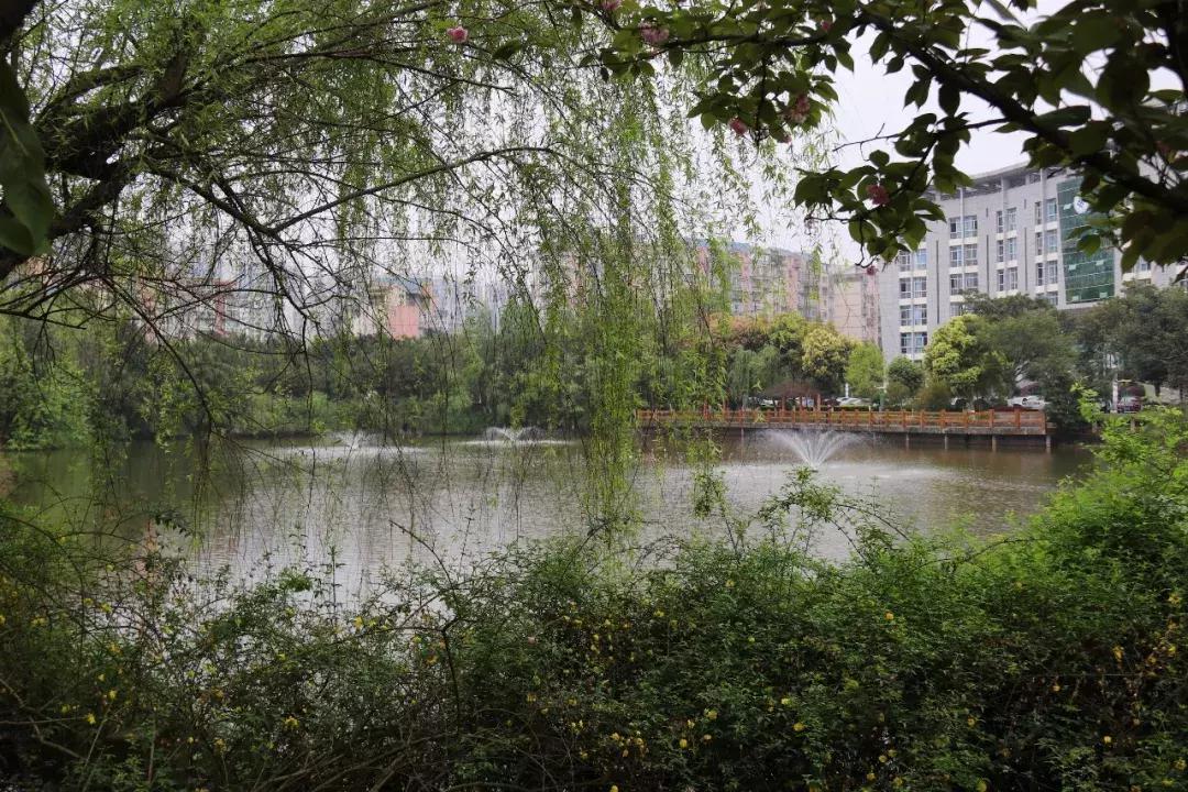 探秘北京大学食堂,四川探秘大学食堂