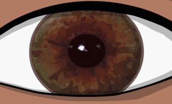 眼前一直有蚊子是什么病,眼前总有蚊子飞怎么治呀