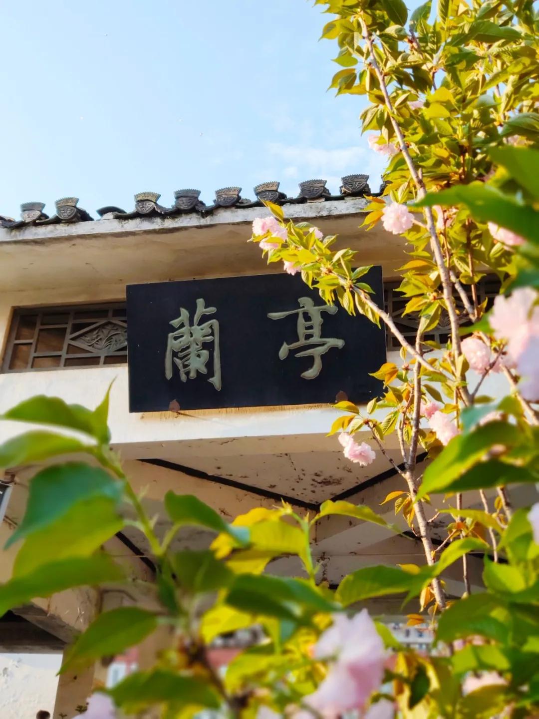 <html>
<head><title>502BadGateway</title></head>
<body>
<center><h1>502BadGateway</h1></center>
<hr><center>nginx</center>
</body>
</html>
<!--apaddingtodisableMSIEandChromefriendlyerrorpage-->
<!--apaddingtodisableMSIEandChromefriendlyerrorpage-->
<!--apaddingtodisableMSIEandChromefriendlyerrorpage-->
<!--apaddingtodisableMSIEandChromefriendlyerrorpage-->
<!--apaddingtodisableMSIEandChromefriendlyerrorpage-->
<!--apaddingtodisableMSIEandChromefriendlyerrorpage-->
