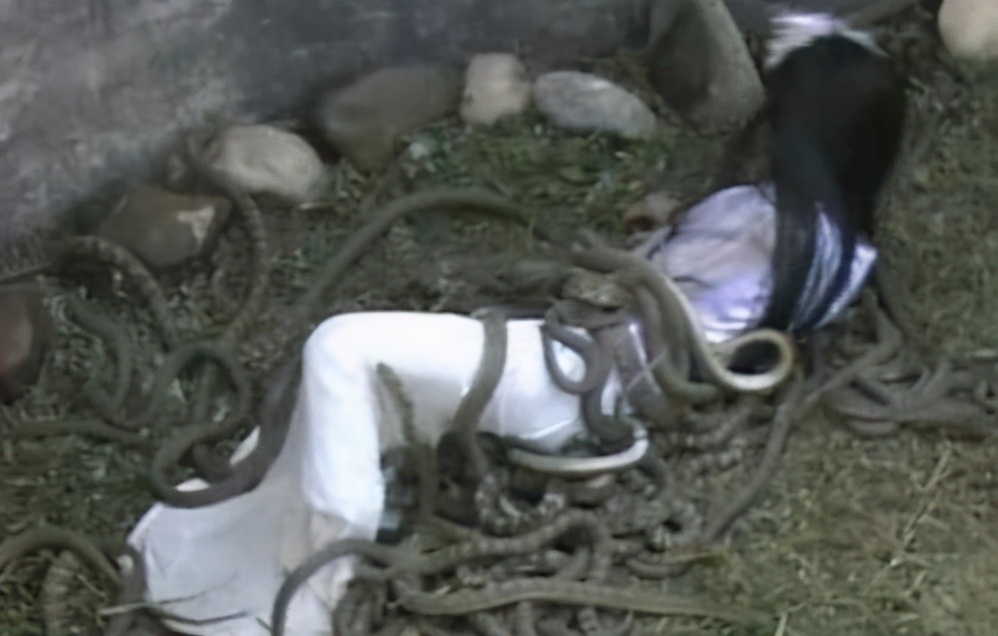 虿盆之刑的解释,虿盆酷刑的原因