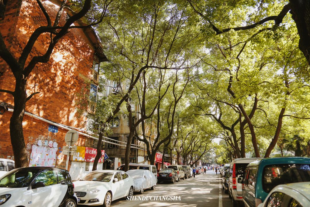 长沙秋季旅游景点推荐,长沙旅游攻略必玩的十大景点推荐