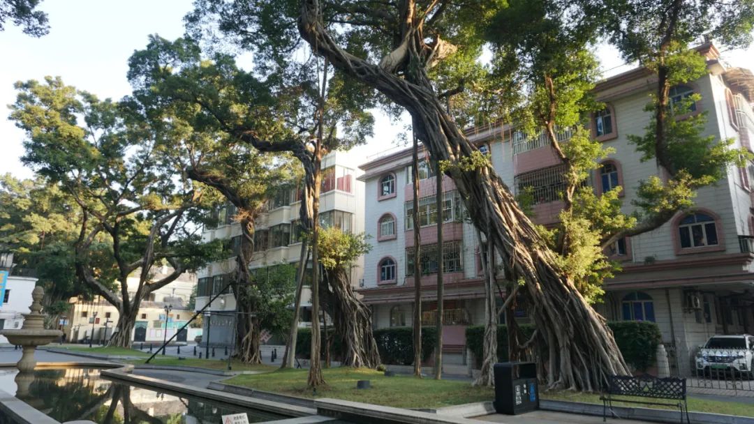 广州最北的地方,广州景区沙面岛