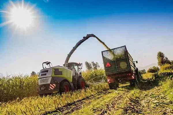 供销合作社对接农业,与供销社重点合作事项