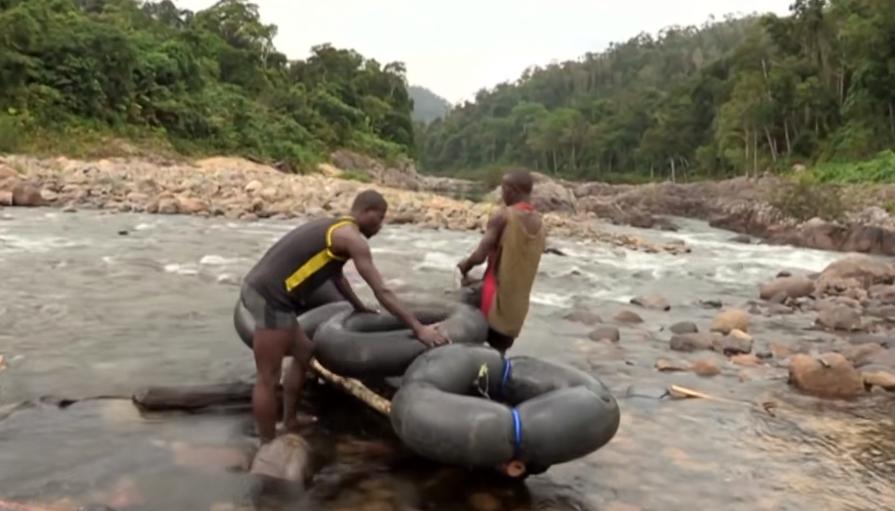 实拍非洲紫檀木*私走**全过程：护林员做*私走**，一根紫檀木赚三万