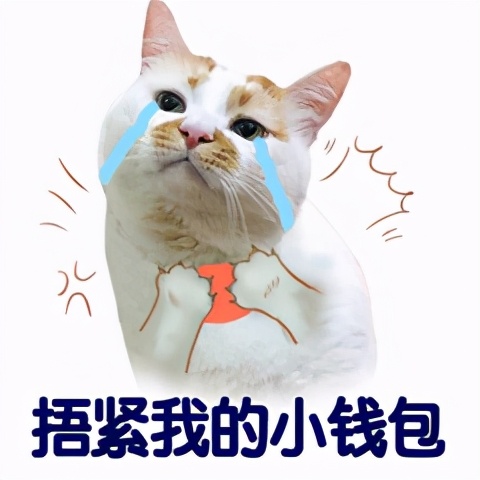 十大好看的宝藏网站,国家出品的11个宝藏app