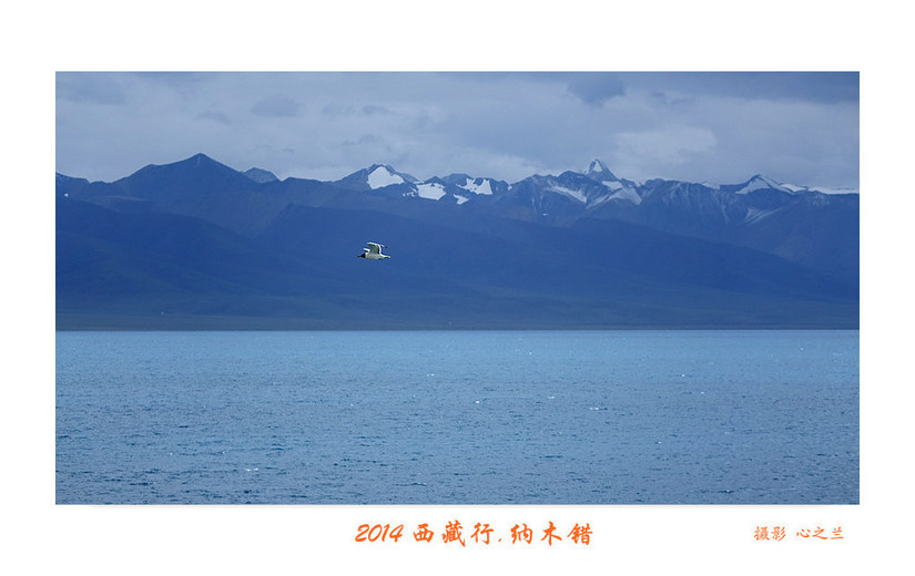 绾虫湪閿欏績涓殑鍦ｅ湴,蹇冮噷鐨勫湥鍦扮撼鏈ㄩ敊