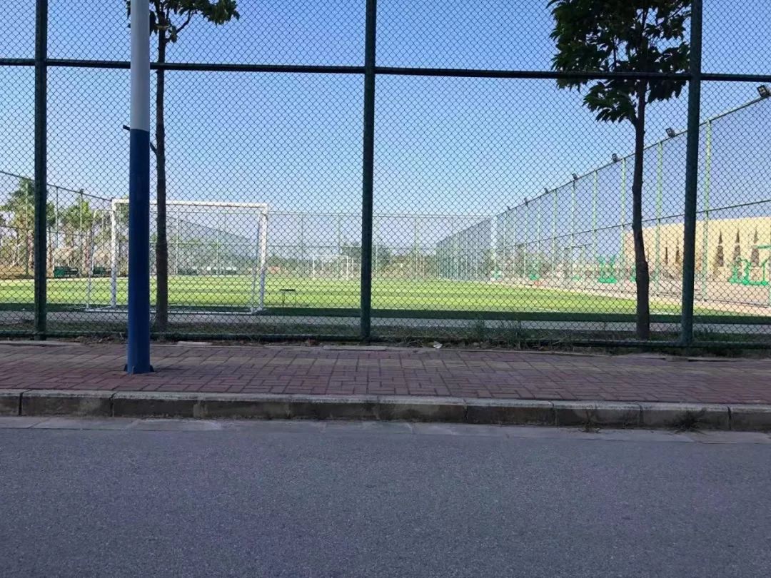 钦州有哪些县城美食,钦州哪些小学有美食