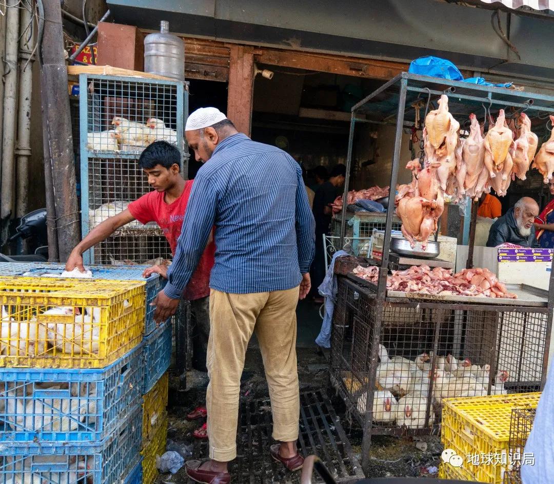 印度不让吃鸡肉吗,印度是不吃牛肉的国家吗