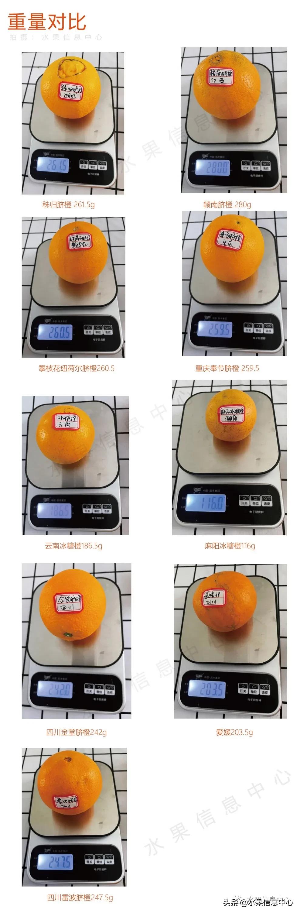 9种橙子测评,正宗秭归脐橙湖北橙子