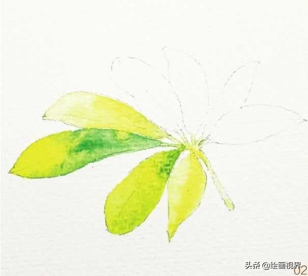 怎么才能画好水彩画,如何画好水彩只需掌握这5点