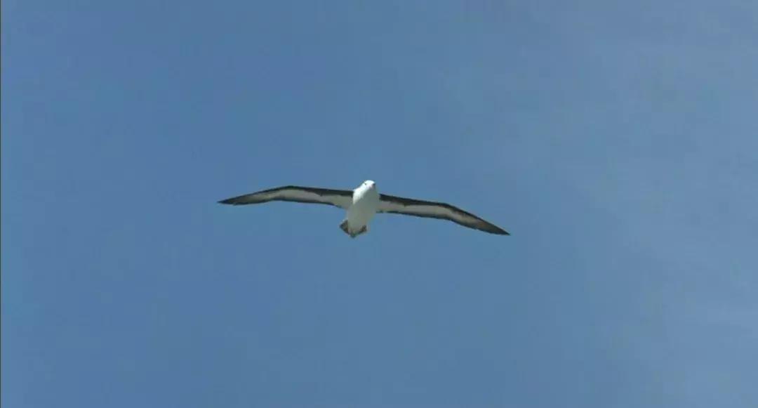 小人物编年史,小人物的真实历史