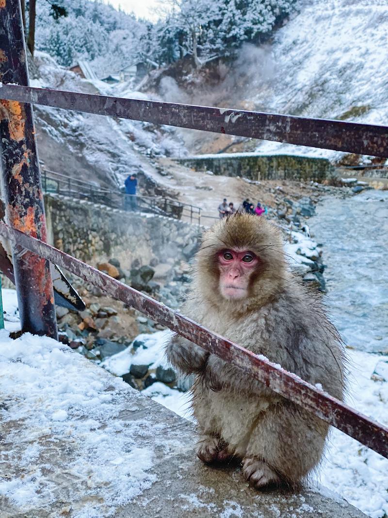 日本小众路线冬,日本冬天观光公路