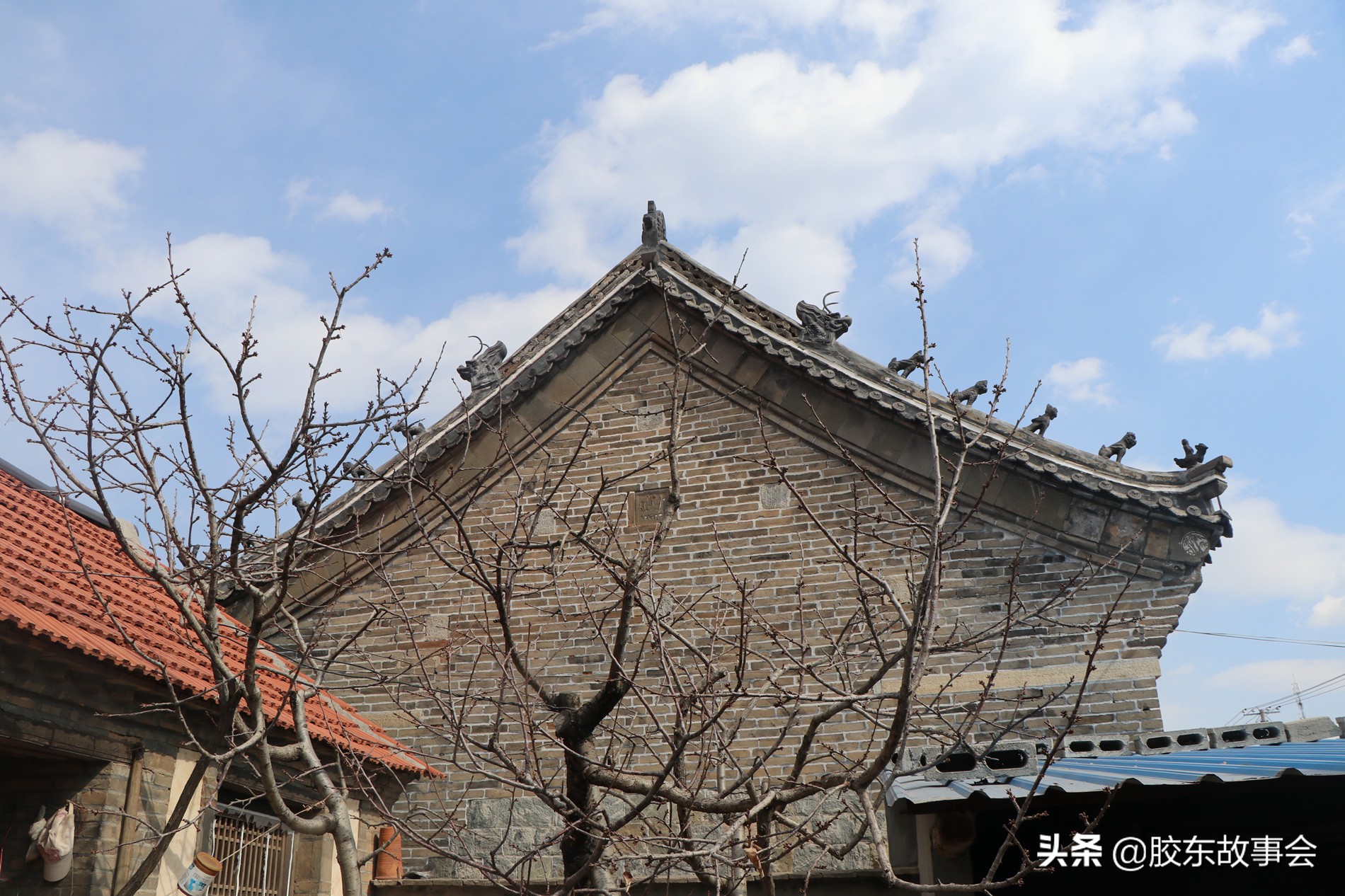 山东临朐有多少姓氏,山东省潍坊市临朐县什么姓的人多