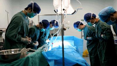 清明时节忆英魂烈士后人,清明缅怀英雄愿山河锦绣国泰民安