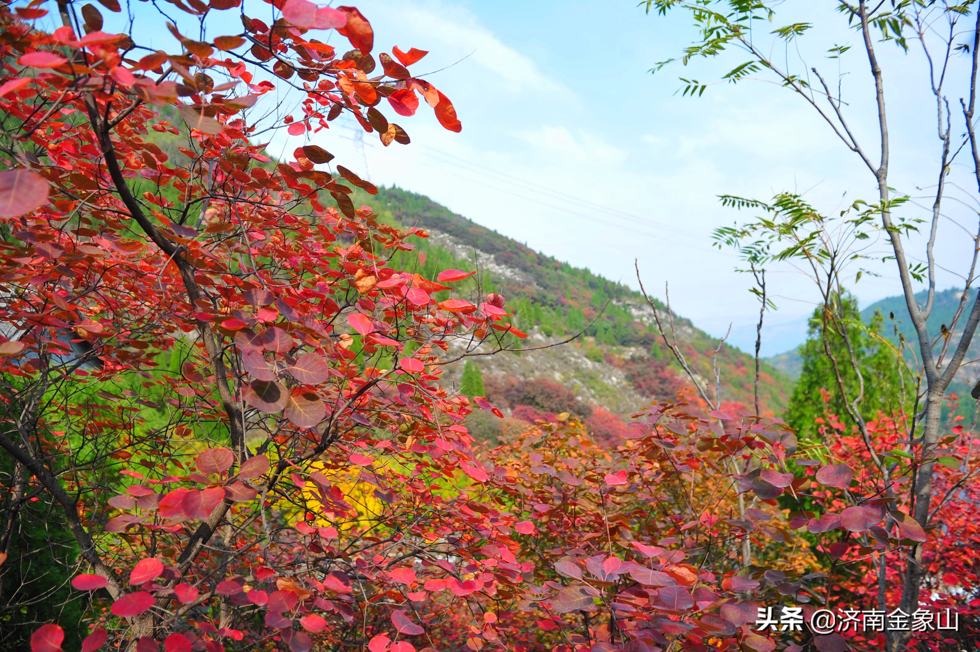金象山风景区在哪里啊,金象山咋样