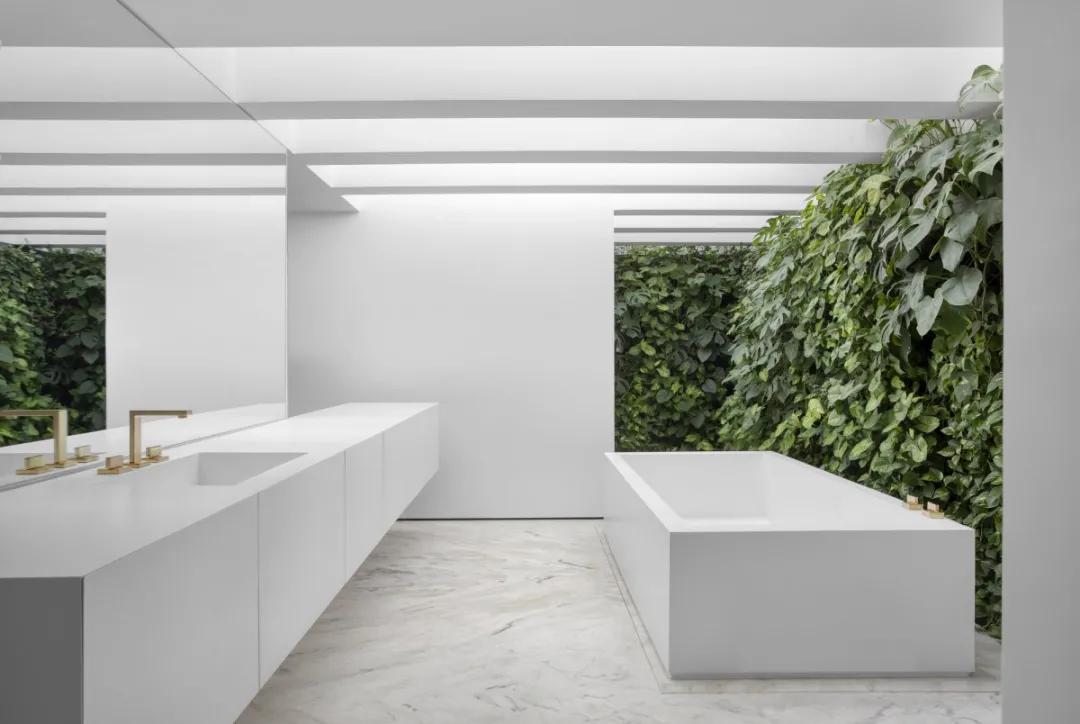 巴西最高端奢石,巴西简单英文介绍