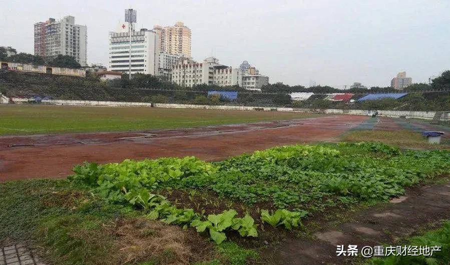 投资1000万农田改造,大田湾片区改造