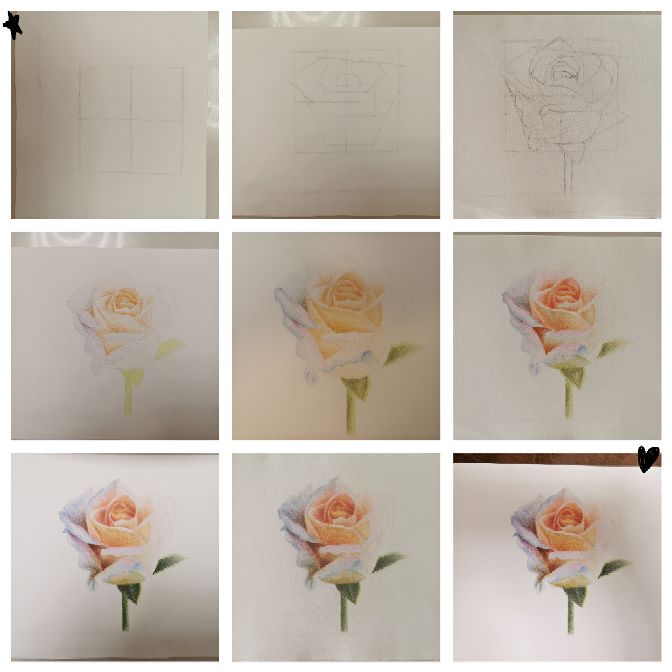 黄玫瑰的花语是逝去的爱,黄玫瑰的花语是遗憾