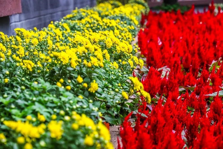 南京燕子矶游玩攻略,燕子矶游玩攻略一日游