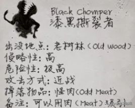 阴暗森林游戏的背景,阴暗森林游戏解析